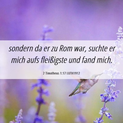 Picture 06 - 2 Timotheus 1:17 LUTH1912 - sondern da er zu Rom war, suchte er mich aufs - Bible Verse Picture