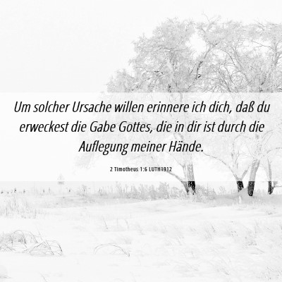 Picture 06 - 2 Timotheus 1:6 LUTH1912 - Um solcher Ursache willen erinnere ich dich, daß - Bible Verse Picture