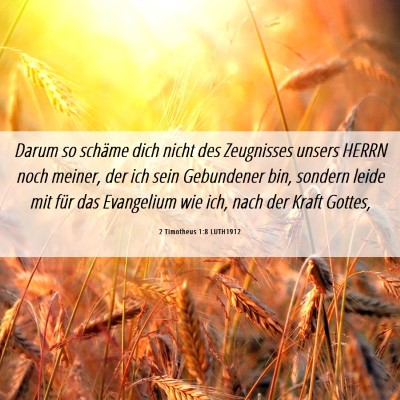 Picture 06 - 2 Timotheus 1:8 LUTH1912 - Darum so schäme dich nicht des Zeugnisses unsers - Bible Verse Picture