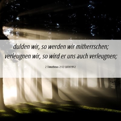 Picture 06 - 2 Timotheus 2:12 LUTH1912 - dulden wir, so werden wir mitherrschen; - Bible Verse Picture