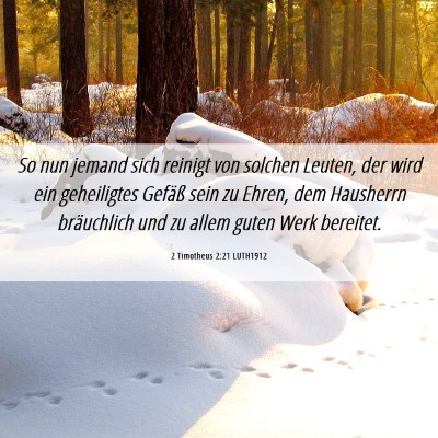 Picture 06 - 2 Timotheus 2:21 LUTH1912 - So nun jemand sich reinigt von solchen Leuten, - Bible Verse Picture