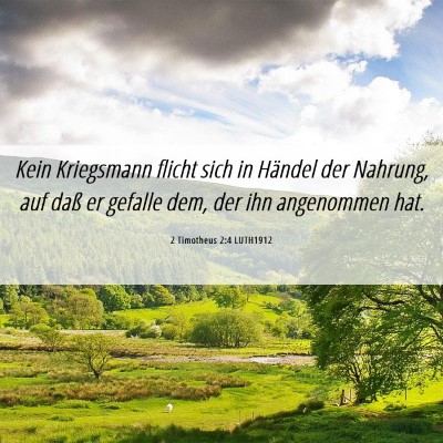 Picture 06 - 2 Timotheus 2:4 LUTH1912 - Kein Kriegsmann flicht sich in Händel der - Bible Verse Picture