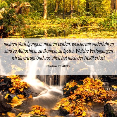 Picture 06 - 2 Timotheus 3:11 LUTH1912 - meinen Verfolgungen, meinen Leiden, welche mir - Bible Verse Picture