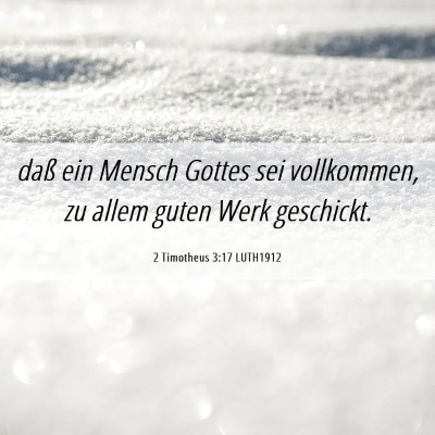 Picture 06 - 2 Timotheus 3:17 LUTH1912 - daß ein Mensch Gottes sei vollkommen, zu allem - Bible Verse Picture