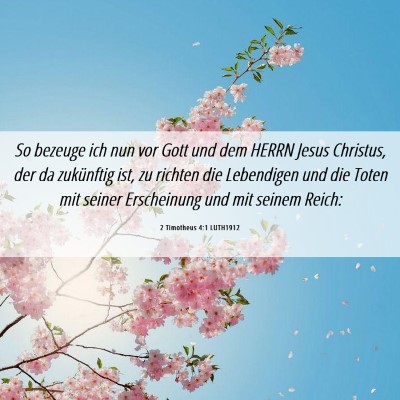Picture 06 - 2 Timotheus 4:1 LUTH1912 - So bezeuge ich nun vor Gott und dem HERRN Jesus - Bible Verse Picture