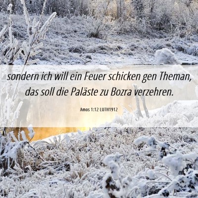 Picture 06 - Amos 1:12 LUTH1912 - sondern ich will ein Feuer schicken gen Theman, - Bible Verse Picture