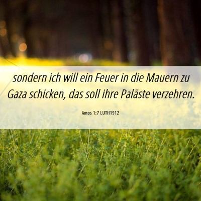 Picture 06 - Amos 1:7 LUTH1912 - sondern ich will ein Feuer in die Mauern zu Gaza - Bible Verse Picture