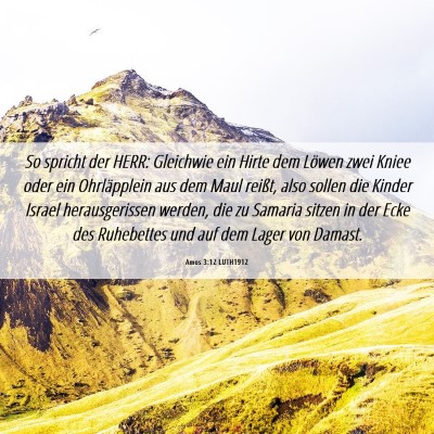 Picture 06 - Amos 3:12 LUTH1912 - So spricht der HERR: Gleichwie ein Hirte dem - Bible Verse Picture