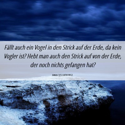 Picture 06 - Amos 3:5 LUTH1912 - Fällt auch ein Vogel in den Strick auf der Erde, - Bible Verse Picture