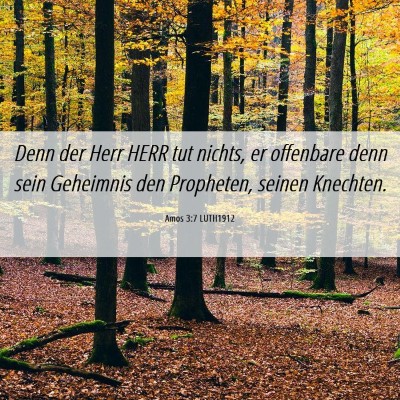 Picture 06 - Amos 3:7 LUTH1912 - Denn der Herr HERR tut nichts, er offenbare denn - Bible Verse Picture