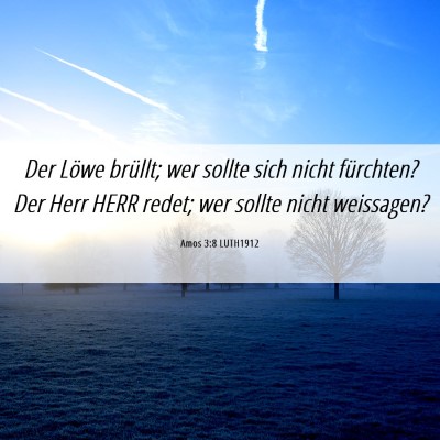 Picture 06 - Amos 3:8 LUTH1912 - Der Löwe brüllt; wer sollte sich nicht - Bible Verse Picture