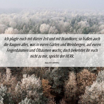 Picture 06 - Amos 4:9 LUTH1912 - Ich plagte euch mit dürrer Zeit und mit - Bible Verse Picture