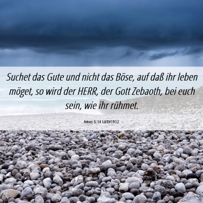 Picture 06 - Amos 5:14 LUTH1912 - Suchet das Gute und nicht das Böse, auf daß ihr - Bible Verse Picture
