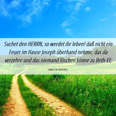 Picture 06 - Amos 5:6 LUTH1912 - Suchet den HERRN, so werdet ihr leben! daß nicht - Bible Verse Picture