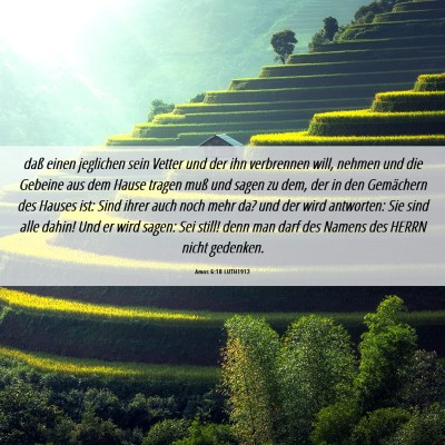 Picture 06 - Amos 6:10 LUTH1912 - daß einen jeglichen sein Vetter und der ihn - Bible Verse Picture