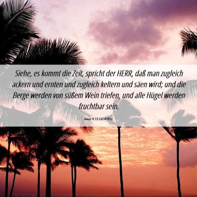 Picture 06 - Amos 9:13 LUTH1912 - Siehe, es kommt die Zeit, spricht der HERR, daß - Bible Verse Picture