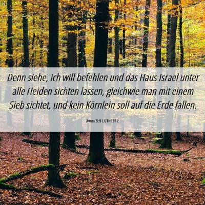 Picture 06 - Amos 9:9 LUTH1912 - Denn siehe, ich will befehlen und das Haus Israel - Bible Verse Picture