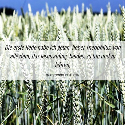 Picture 06 - Apostelgeschichte 1:1 LUTH1912 - Die erste Rede habe ich getan, lieber Theophilus, - Bible Verse Picture