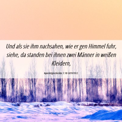 Picture 06 - Apostelgeschichte 1:10 LUTH1912 - Und als sie ihm nachsahen, wie er gen Himmel - Bible Verse Picture