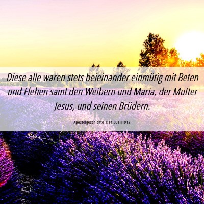 Picture 06 - Apostelgeschichte 1:14 LUTH1912 - Diese alle waren stets beieinander einmütig mit - Bible Verse Picture