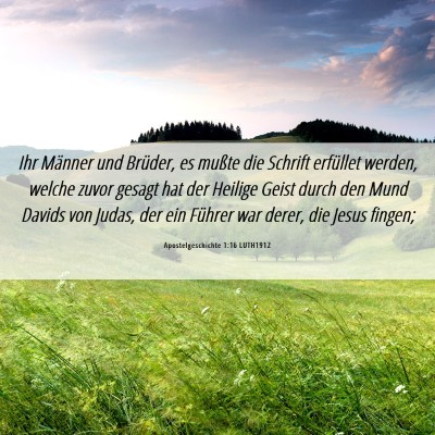Picture 06 - Apostelgeschichte 1:16 LUTH1912 - Ihr Männer und Brüder, es mußte die Schrift - Bible Verse Picture
