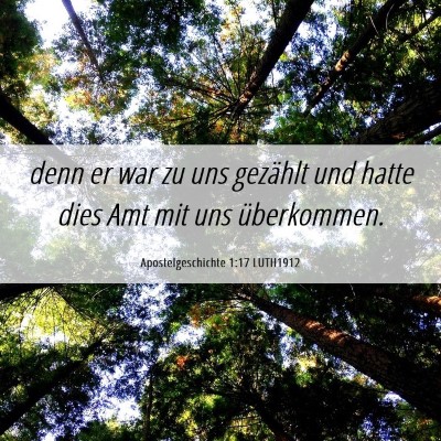 Picture 06 - Apostelgeschichte 1:17 LUTH1912 - denn er war zu uns gezählt und hatte dies Amt - Bible Verse Picture