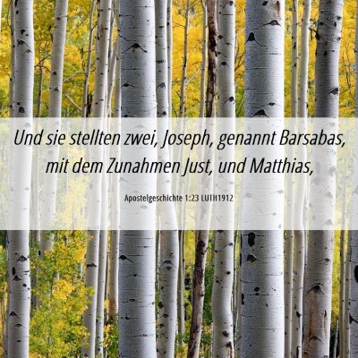Picture 06 - Apostelgeschichte 1:23 LUTH1912 - Und sie stellten zwei, Joseph, genannt Barsabas, - Bible Verse Picture