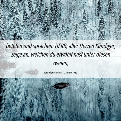 Picture 06 - Apostelgeschichte 1:24 LUTH1912 - beteten und sprachen: HERR, aller Herzen - Bible Verse Picture