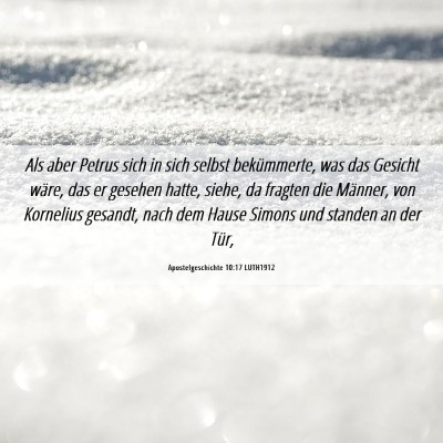 Picture 06 - Apostelgeschichte 10:17 LUTH1912 - Als aber Petrus sich in sich selbst bekümmerte, - Bible Verse Picture