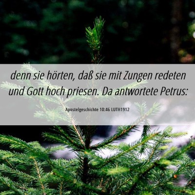 Picture 06 - Apostelgeschichte 10:46 LUTH1912 - denn sie hörten, daß sie mit Zungen redeten und - Bible Verse Picture