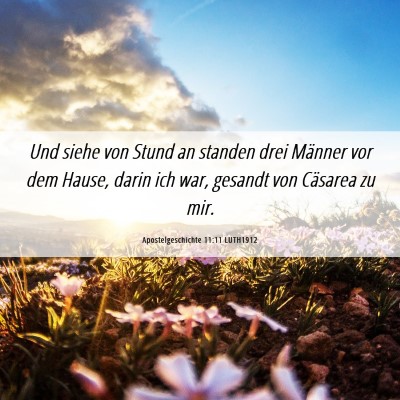 Picture 06 - Apostelgeschichte 11:11 LUTH1912 - Und siehe von Stund an standen drei Männer vor - Bible Verse Picture