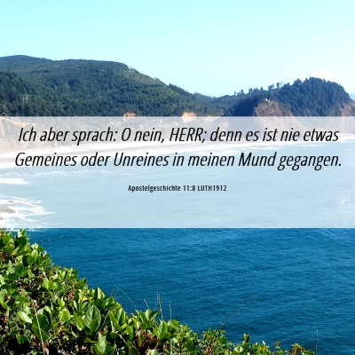 Picture 06 - Apostelgeschichte 11:8 LUTH1912 - Ich aber sprach: O nein, HERR; denn es ist nie - Bible Verse Picture