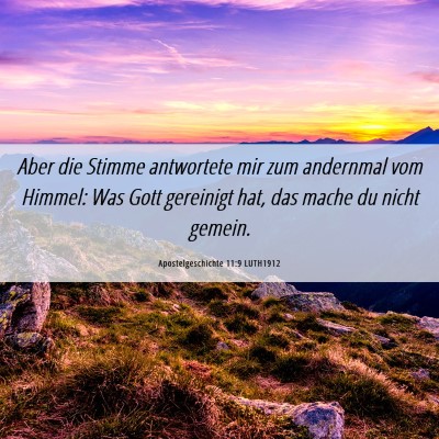 Picture 06 - Apostelgeschichte 11:9 LUTH1912 - Aber die Stimme antwortete mir zum andernmal vom - Bible Verse Picture