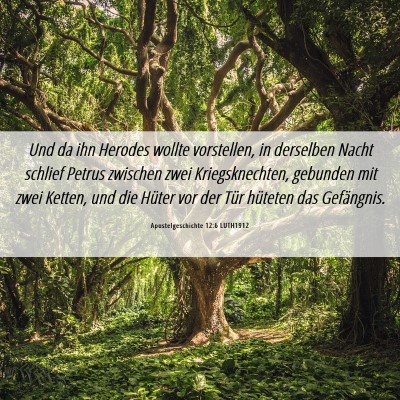 Picture 06 - Apostelgeschichte 12:6 LUTH1912 - Und da ihn Herodes wollte vorstellen, in - Bible Verse Picture