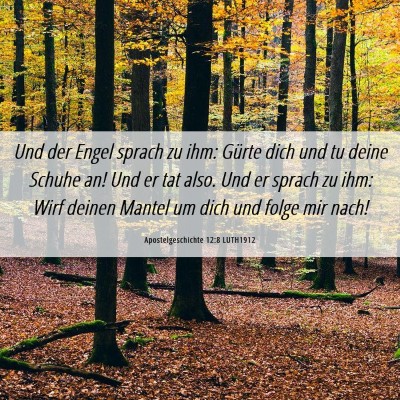 Picture 06 - Apostelgeschichte 12:8 LUTH1912 - Und der Engel sprach zu ihm: Gürte dich und tu - Bible Verse Picture