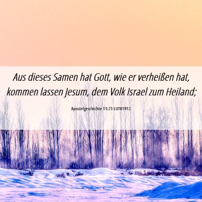 Picture 06 - Apostelgeschichte 13:23 LUTH1912 - Aus dieses Samen hat Gott, wie er verheißen hat, - Bible Verse Picture