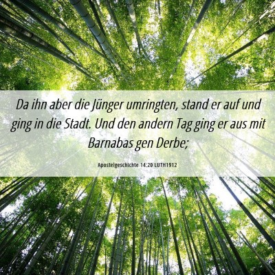 Picture 06 - Apostelgeschichte 14:20 LUTH1912 - Da ihn aber die Jünger umringten, stand er auf - Bible Verse Picture