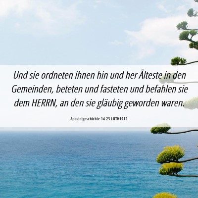 Picture 06 - Apostelgeschichte 14:23 LUTH1912 - Und sie ordneten ihnen hin und her Älteste in - Bible Verse Picture