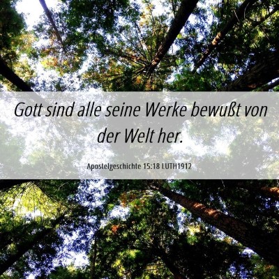 Picture 06 - Apostelgeschichte 15:18 LUTH1912 - Gott sind alle seine Werke bewußt von der Welt - Bible Verse Picture