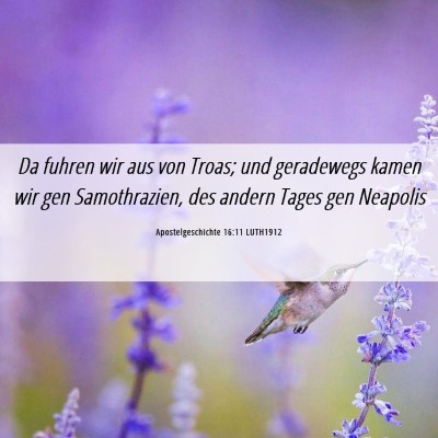 Picture 06 - Apostelgeschichte 16:11 LUTH1912 - Da fuhren wir aus von Troas; und geradewegs kamen - Bible Verse Picture