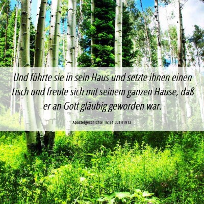 Picture 06 - Apostelgeschichte 16:34 LUTH1912 - Und führte sie in sein Haus und setzte ihnen - Bible Verse Picture