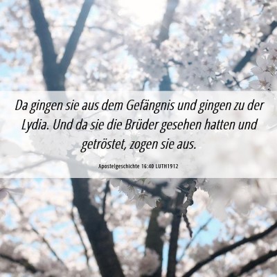 Picture 06 - Apostelgeschichte 16:40 LUTH1912 - Da gingen sie aus dem Gefängnis und gingen zu - Bible Verse Picture