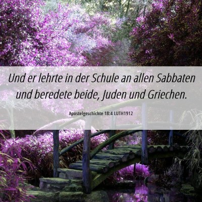 Picture 06 - Apostelgeschichte 18:4 LUTH1912 - Und er lehrte in der Schule an allen Sabbaten und - Bible Verse Picture