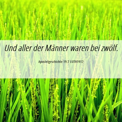 Picture 06 - Apostelgeschichte 19:7 LUTH1912 - Und aller der Männer waren bei - Bible Verse Picture