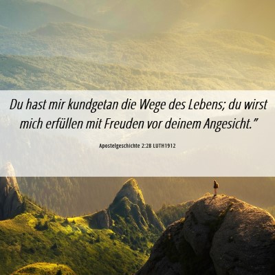 Picture 06 - Apostelgeschichte 2:28 LUTH1912 - Du hast mir kundgetan die Wege des Lebens; du - Bible Verse Picture
