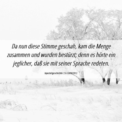 Picture 06 - Apostelgeschichte 2:6 LUTH1912 - Da nun diese Stimme geschah, kam die Menge - Bible Verse Picture