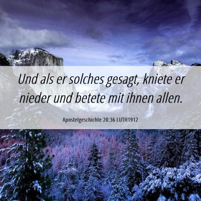 Picture 06 - Apostelgeschichte 20:36 LUTH1912 - Und als er solches gesagt, kniete er nieder und - Bible Verse Picture