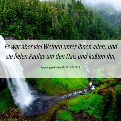 Picture 06 - Apostelgeschichte 20:37 LUTH1912 - Es war aber viel Weinen unter ihnen allen, und - Bible Verse Picture