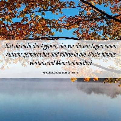 Picture 06 - Apostelgeschichte 21:38 LUTH1912 - Bist du nicht der Ägypter, der vor diesen Tagen - Bible Verse Picture