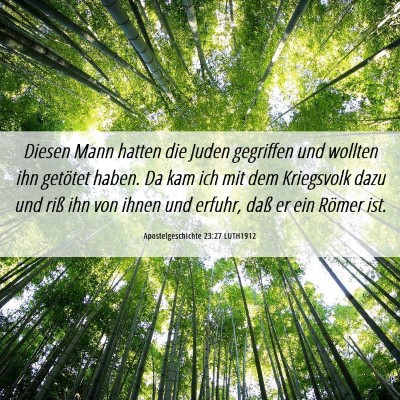Picture 06 - Apostelgeschichte 23:27 LUTH1912 - Diesen Mann hatten die Juden gegriffen und - Bible Verse Picture